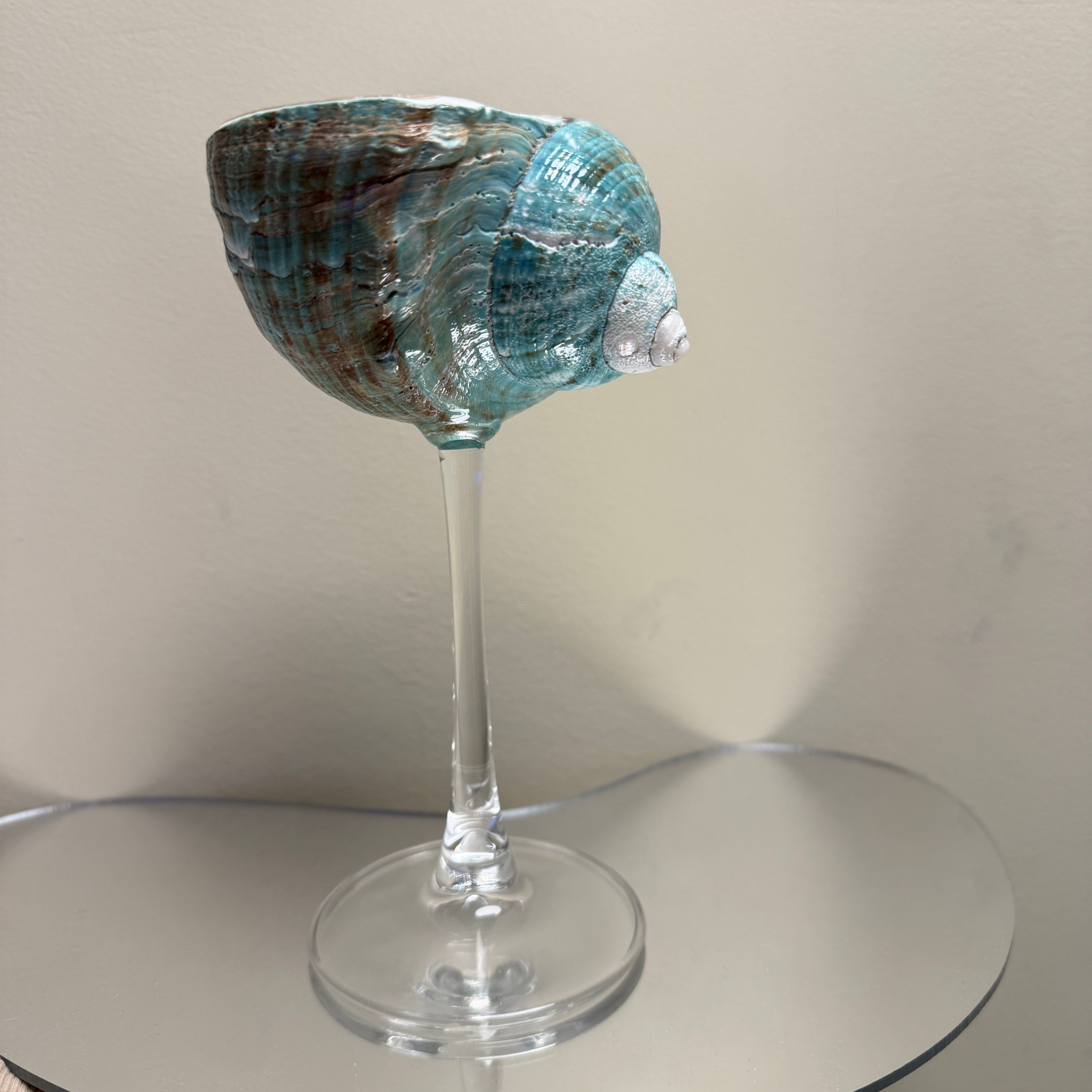 COSiii Shell-shaped stemmed glass