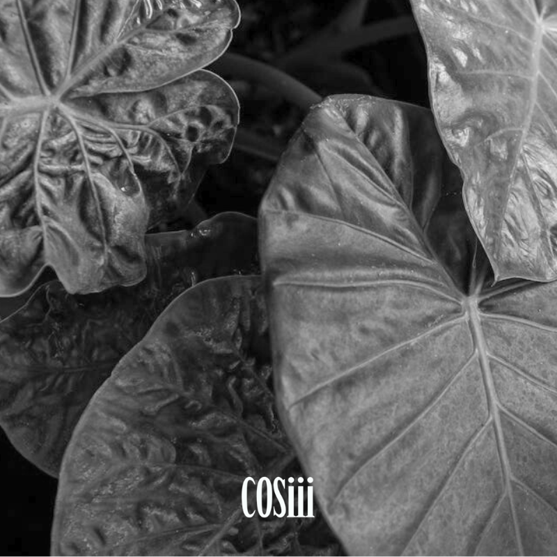 【BLACK FRIDAY】earrings blind box