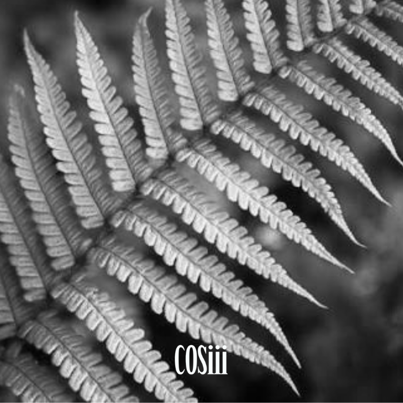 【BLACK FRIDAY】Bracelet blind box