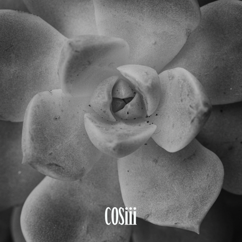 【BLACK FRIDAY】Ring blind box