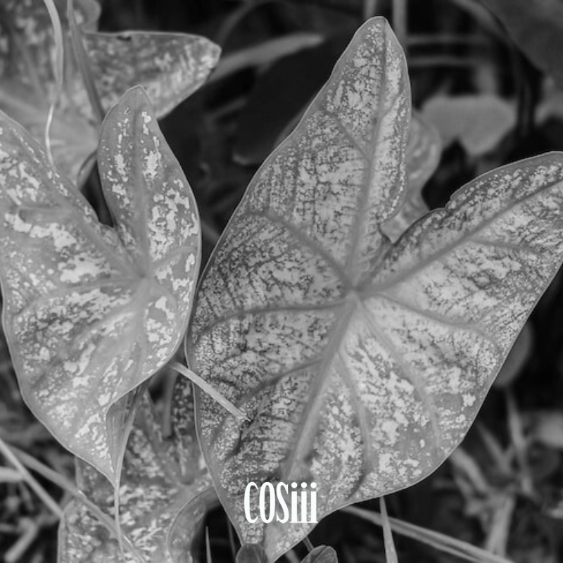 【BLACK FRIDAY】Necklace blind box