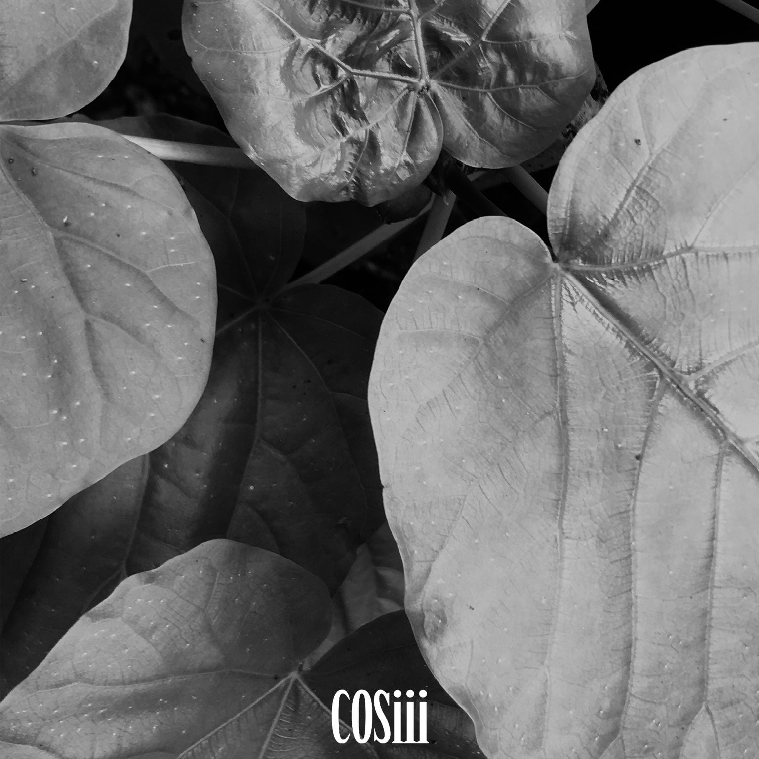 【BLACK FRIDAY】S/S Hat Blind Box