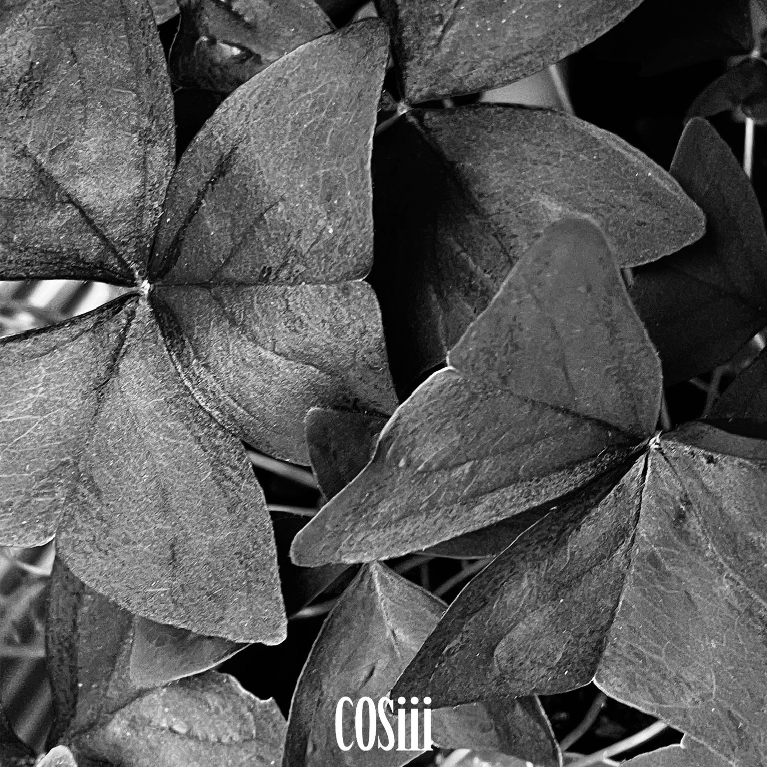 【BLACK FRIDAY】F/W Hat Blind Box